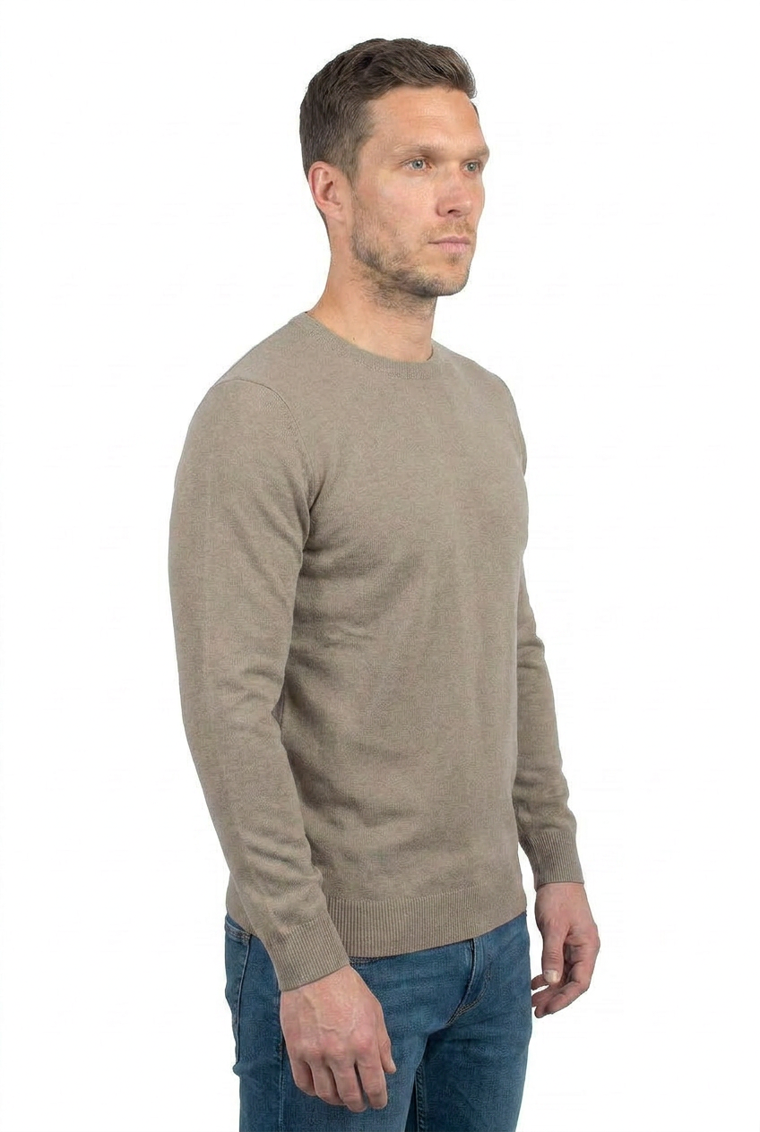Rundhals 100 % Baumwolle, Farbe Taupe, Ansicht 2 | Dalle Piane Cashmere