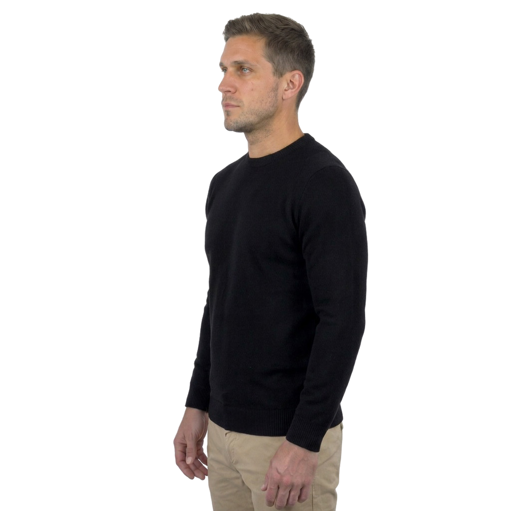 Rundhalspullover aus 100% Merinowolle | Dalle Piane Cashmere