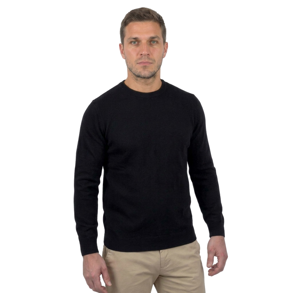 Rundhalspullover aus 100% Merinowolle | Dalle Piane Cashmere