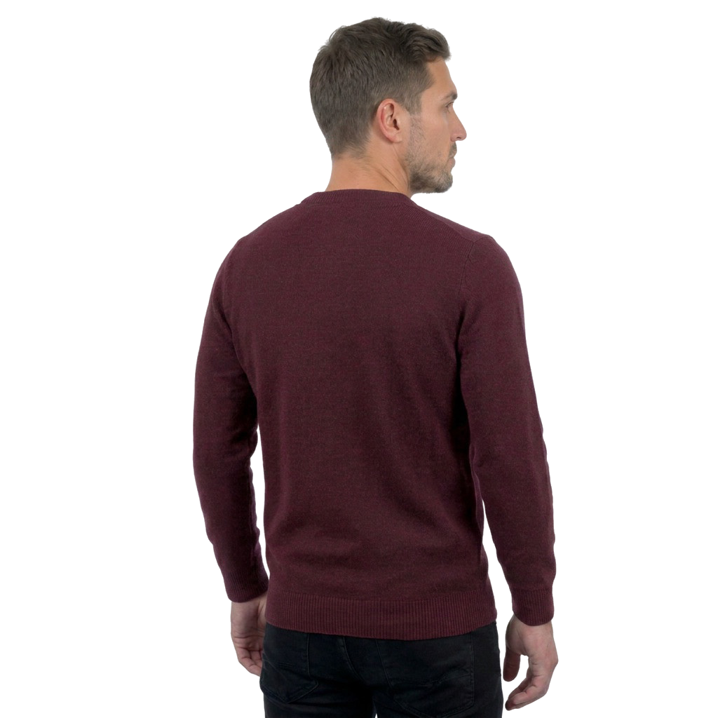 Rundhalspullover aus 100% Merinowolle | Dalle Piane Cashmere